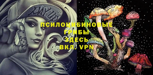 гидра Лагань
