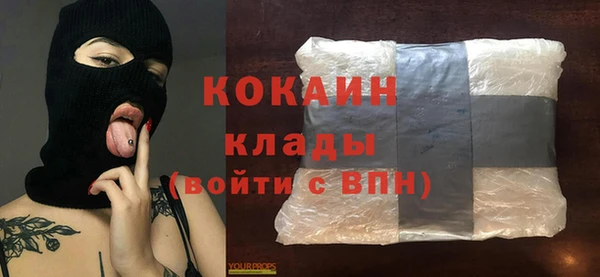 гидра Лагань