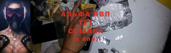прущие грибы Ладушкин