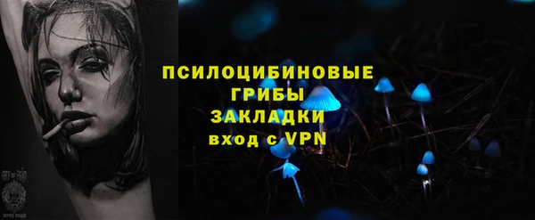 прущие грибы Ладушкин