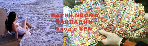 прущие грибы Ладушкин