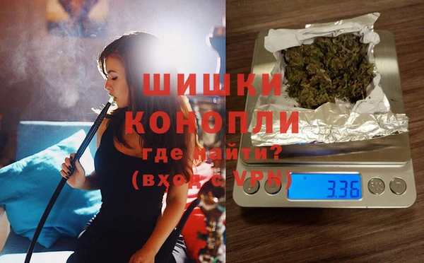 гидра Лагань