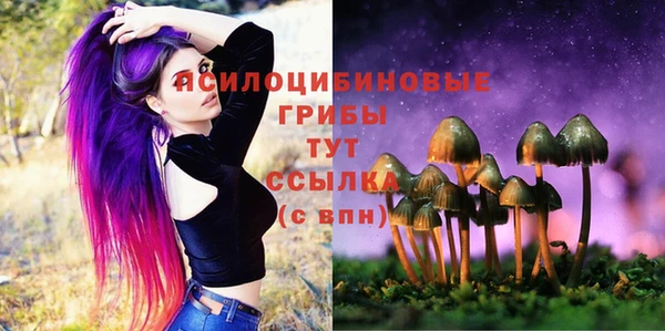 гидра Лагань