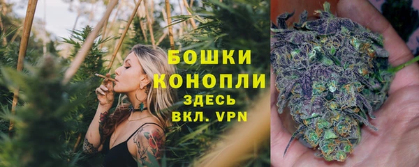 гидра Лагань