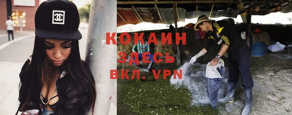 прущие грибы Ладушкин