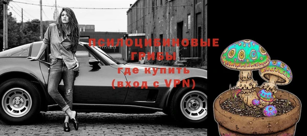 прущие грибы Ладушкин