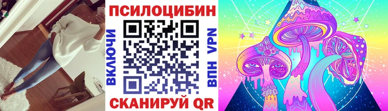 kraken рабочий сайт Райчихинск Галлюциногенные грибы Psilocybe